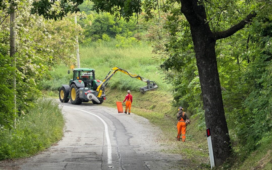 Ciacci, dalle parole ai fatti: “Effettuati gli sfalci del verde promessi”