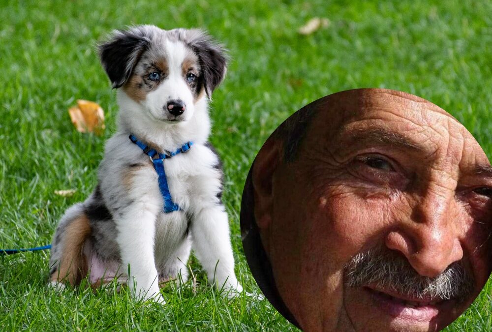 Folle dire nome e cognome”: Berti prende le difese del killer dei cani?