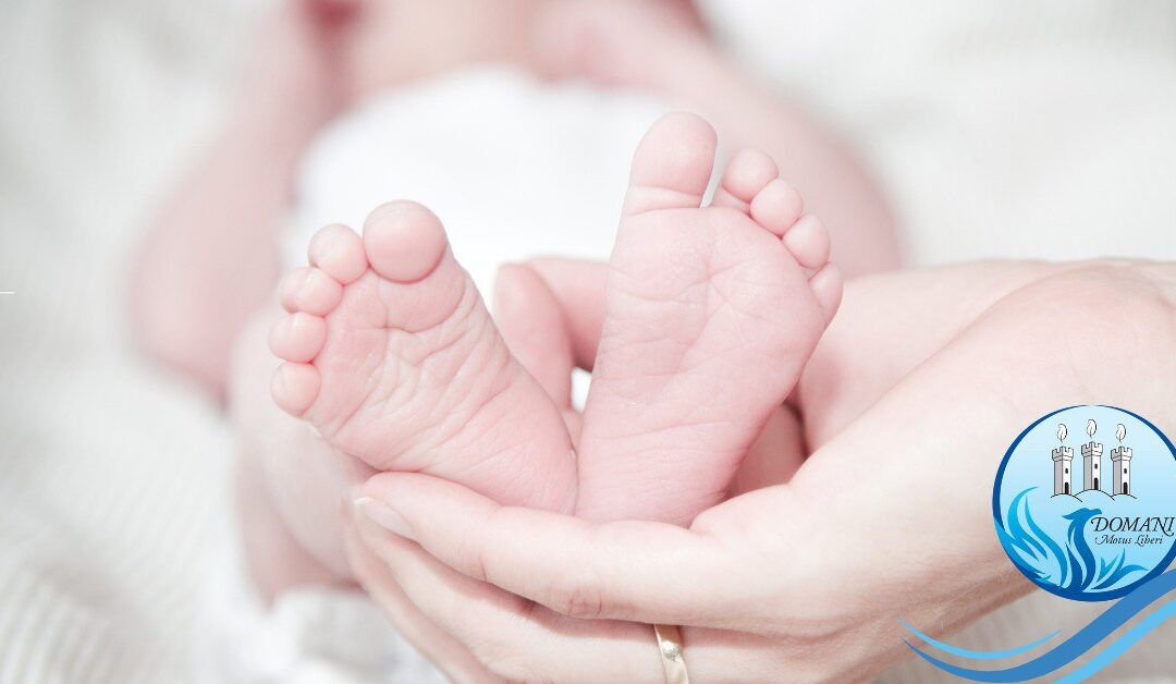 Domani Motus Liberi – Salvare il futuro, le famiglie al centro del rilancio