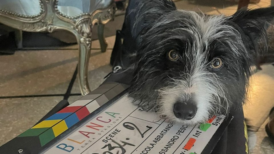 Ronda ‘superstar’: un cane sammarinese protagonista di Blanca 3