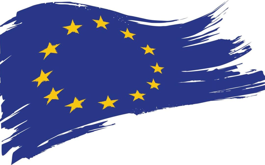 Accordo UE, Forcellini: “Non si possono fare Referendum abrogativi di….”