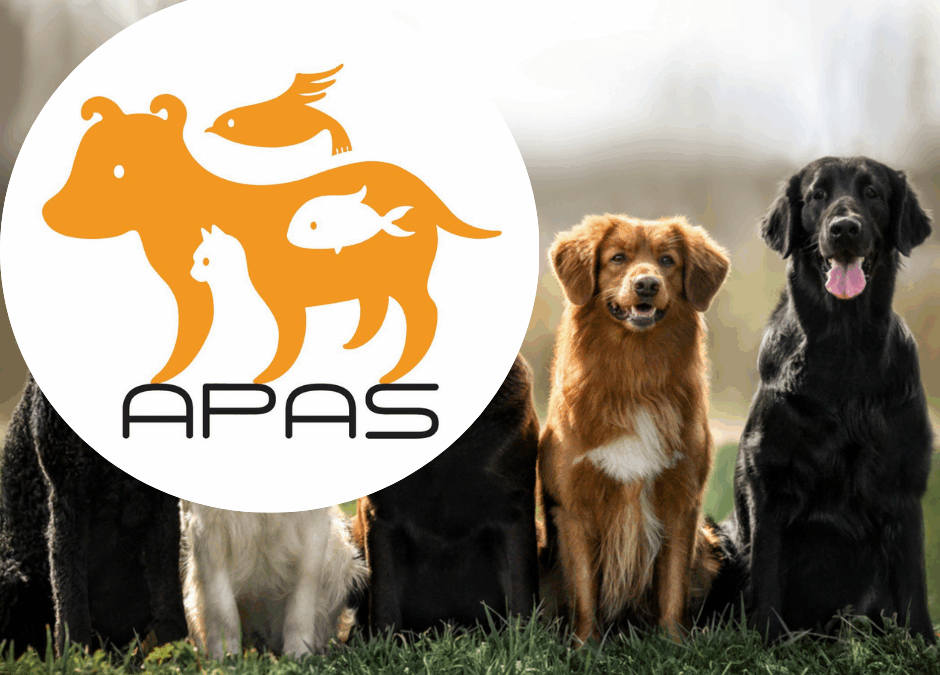 Killer dei cani. APAS: “Soddisfazione per il rinvio a giudizio, la giustizia fa il suo corso”