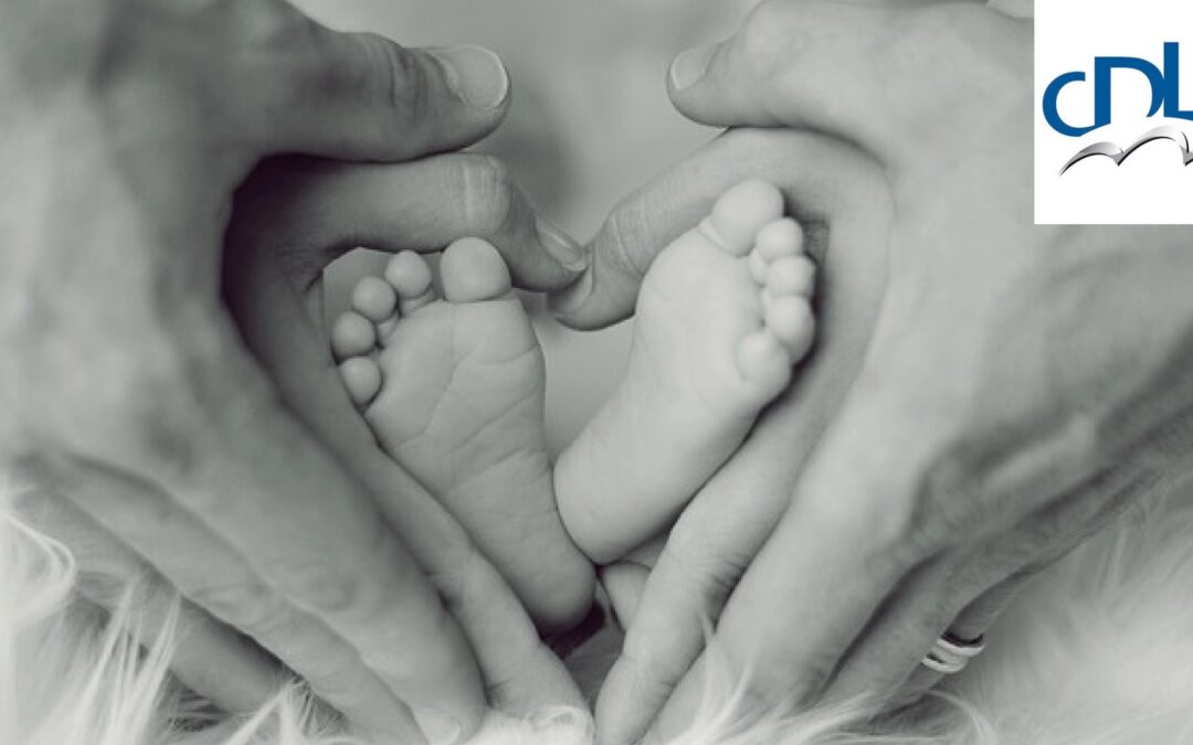CDLS: “L’emergenza denatalità è la vera sfida per il nostro Paese”