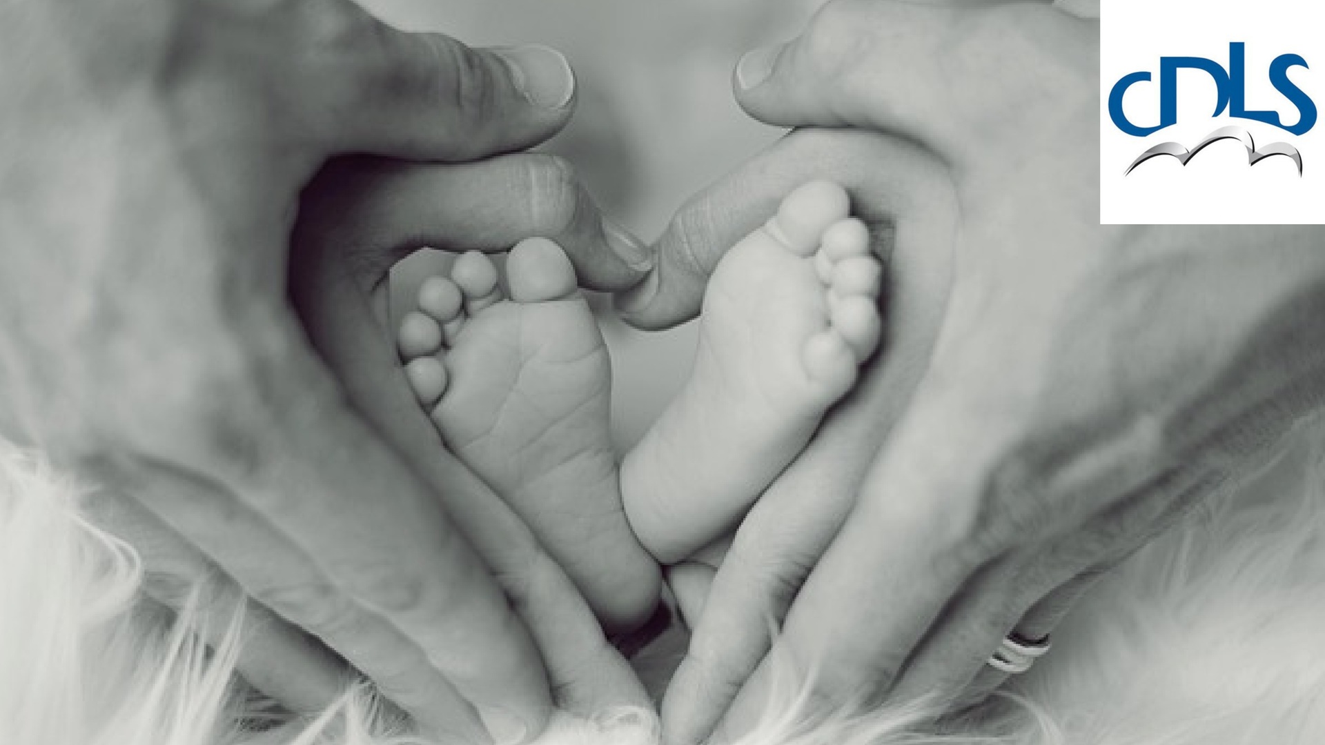 CDLS: “L’emergenza denatalità è la vera sfida per il nostro Paese”