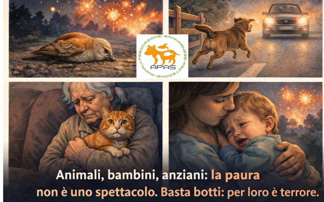 Capodanno e botti, l’APAS chiede regole chiare: “Una minaccia reale per animali, bambini e anziani”