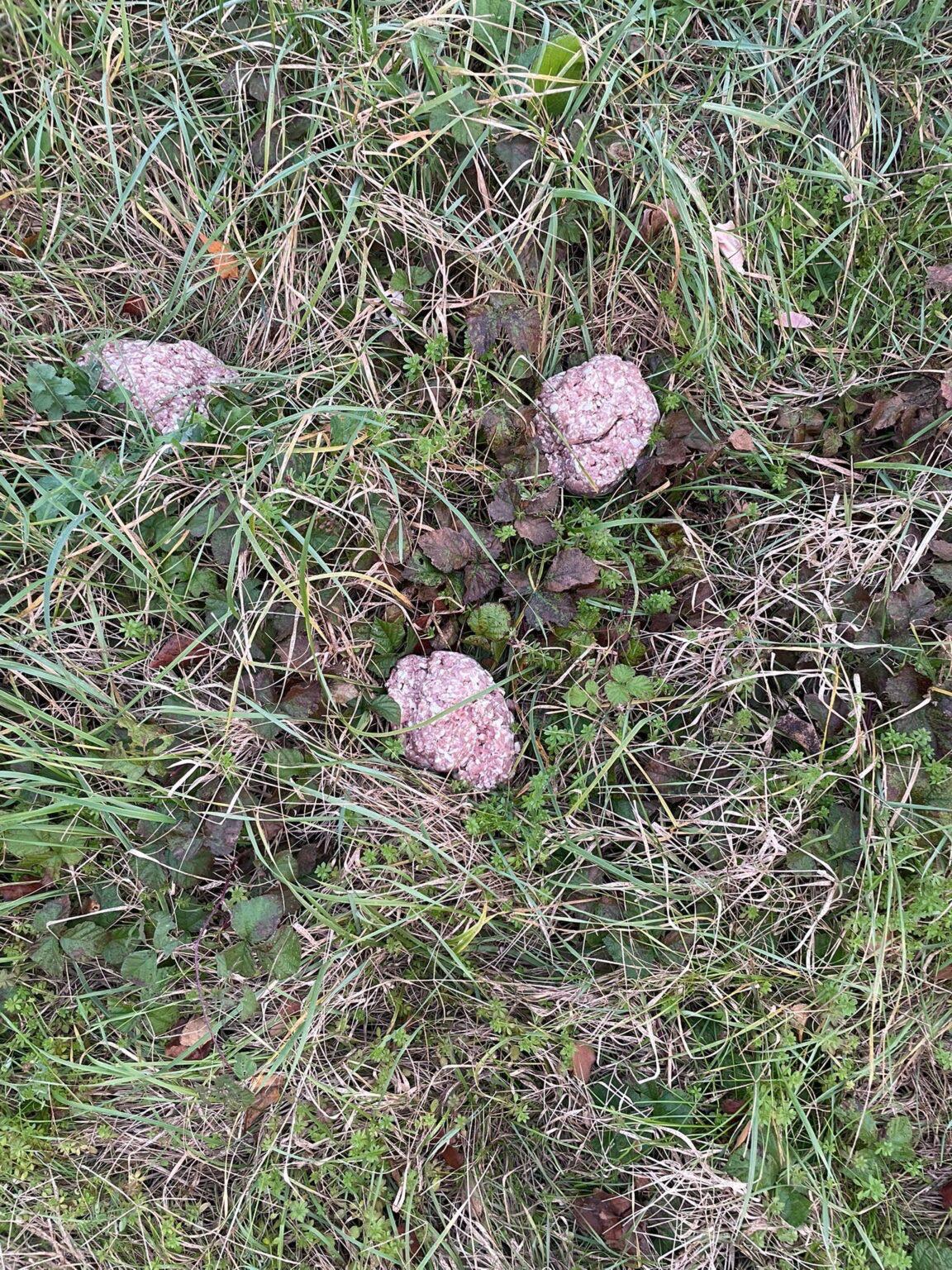 Allarme per bocconi sospetti a Dogana: segnalazioni in Strada Caiese