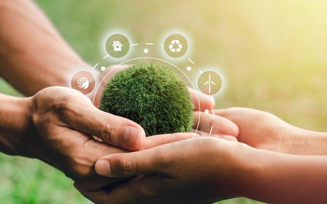 EDITORIALE – Tra Green Deal, mercato auto e Accordo di Associazione: prima di scrivere, studiate e approfondite