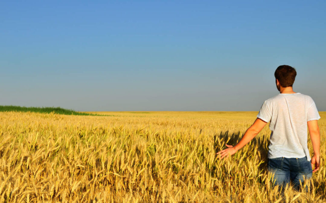 Agricoltura, qualità e sostenibilità al centro delle politiche sammarinesi