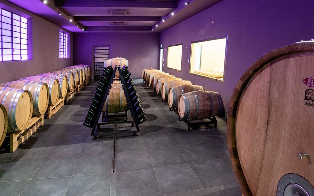 San Marino, etichetta d’autore per il vino Tessano nei 40 anni della legge