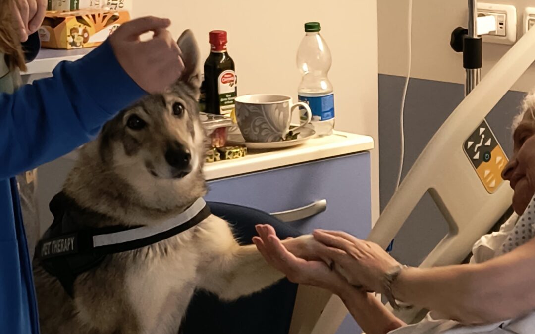 Partiti gli Interventi Assistiti con gli Animali anche nel percorso di Cure Palliative all’Hospice di Rimini