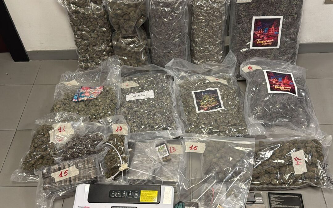 Odore sospetto dal palazzo, poi il controllo: arrestato 35enne con 16 chili di droga