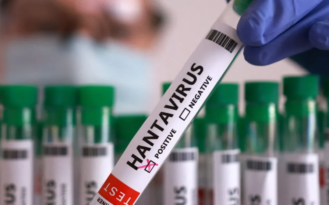 Hantavirus, salgono i casi legati alla nave Hondius: negativo il paziente veneto