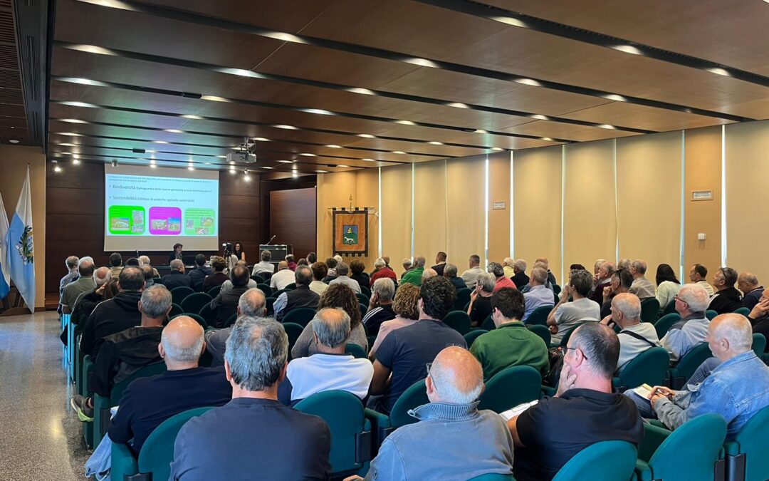 Olivicoltura sammarinese, parte la strategia condivisa per un extravergine di qualità