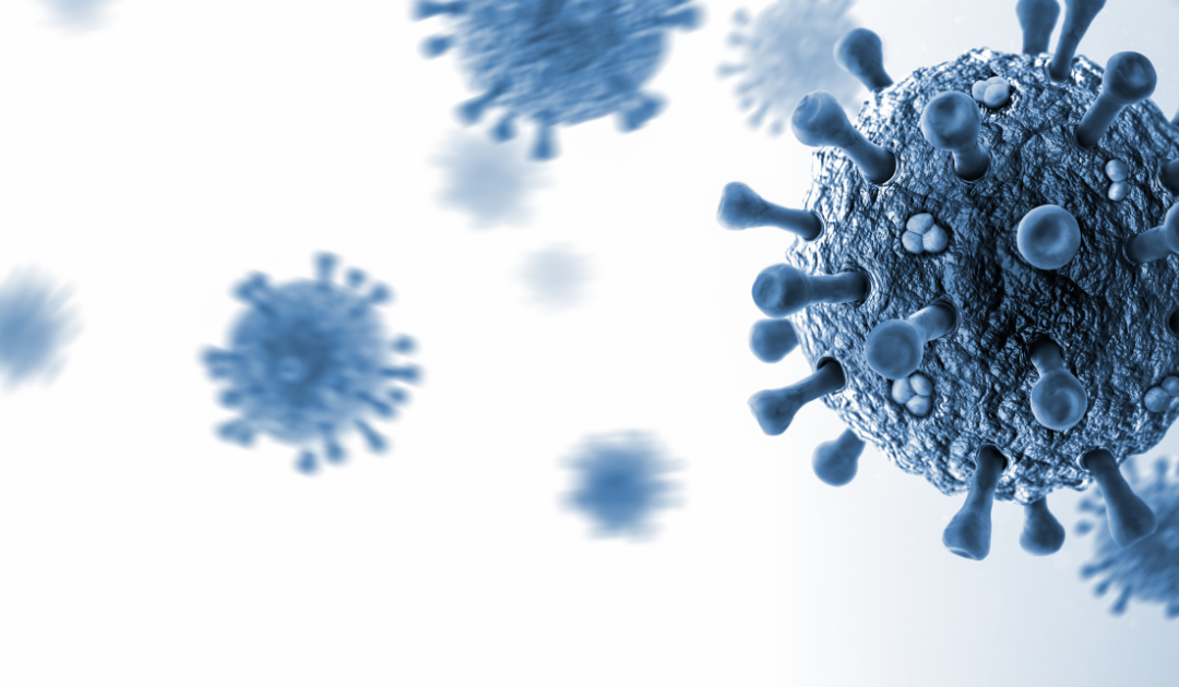 Hantavirus, l’OMS smentisce il paragone con il COVID: “Rischio basso, focolaio circoscritto”