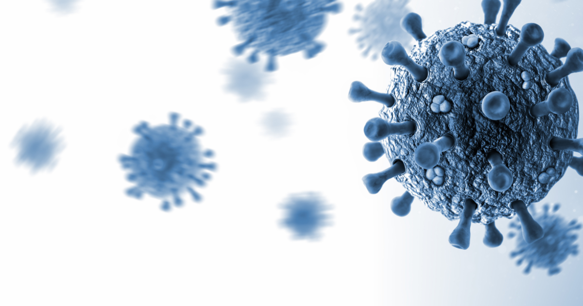 Hantavirus, l’OMS smentisce il paragone con il COVID: “Rischio basso, focolaio circoscritto”