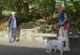 Bevilacqua testimonial dell’AASS: il compenso devoluto all’Apas per aiutare gli animali