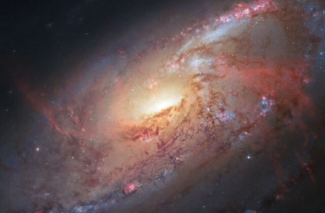 Al Meeting il mistero delle distanze cosmiche: «L’Universo ci presenta un conto che non torna»