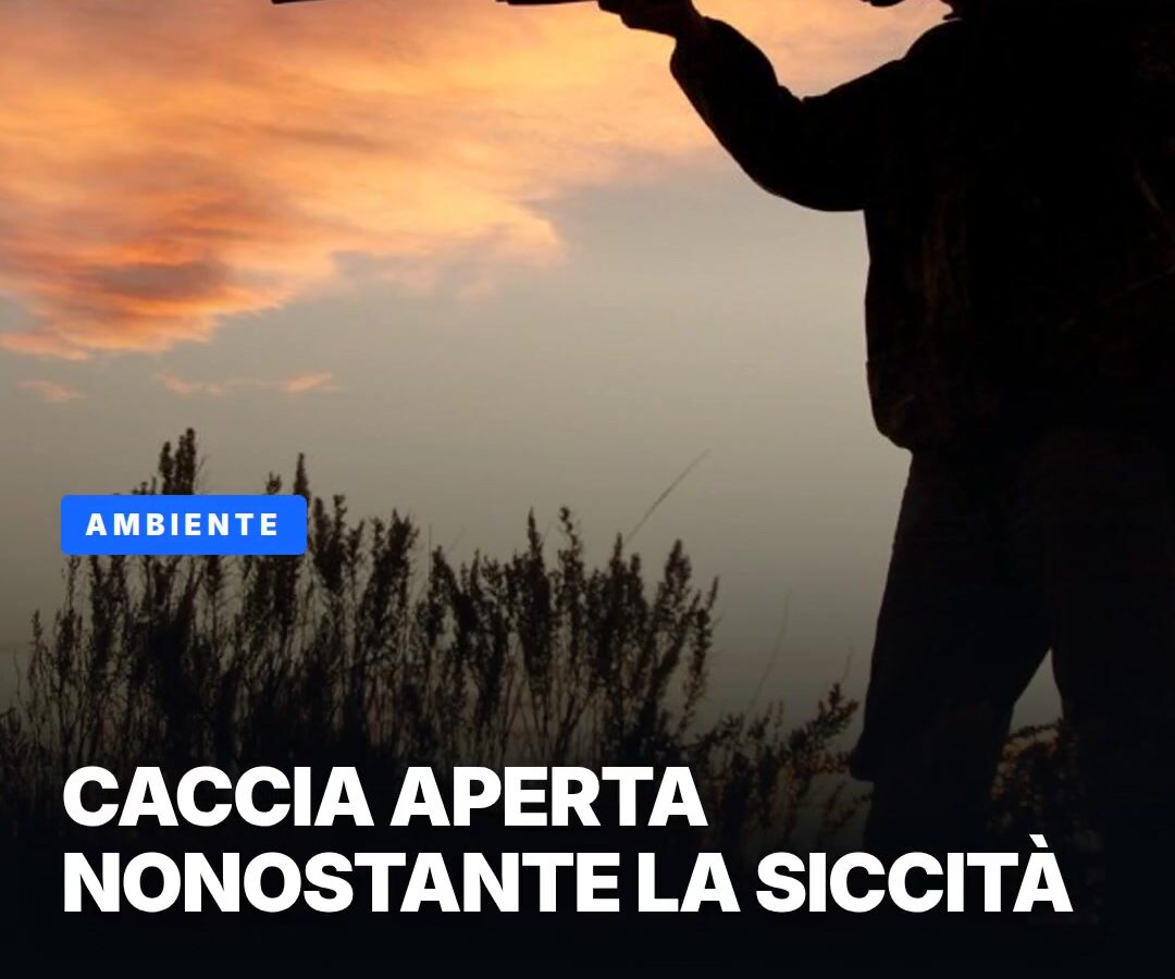 copertina-8