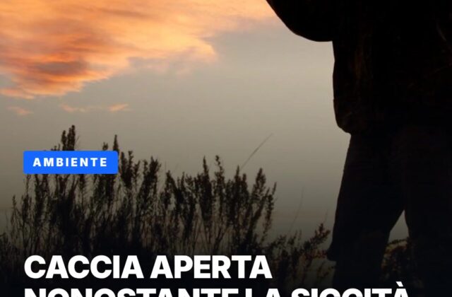 Caccia aperta nonostante l’emergenza idrica
