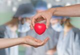 Donazione degli organi, svolta a San Marino: sì unanime al registro nazionale