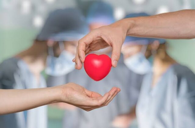 Organ donation: San Marino takes historic step with unanimous vote for national registry