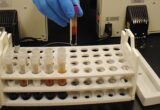 Esami di laboratorio a pagamento, la Commissione apre la porta
