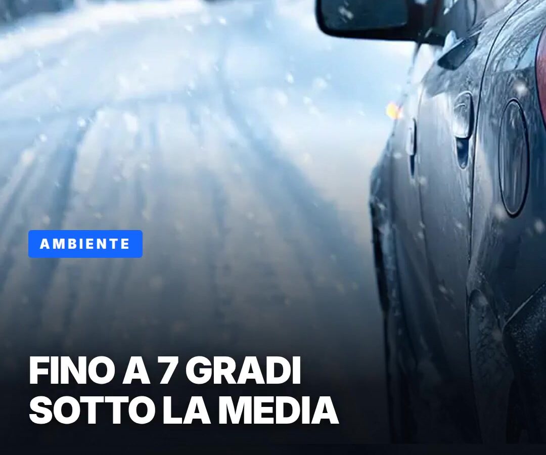 copertina-205