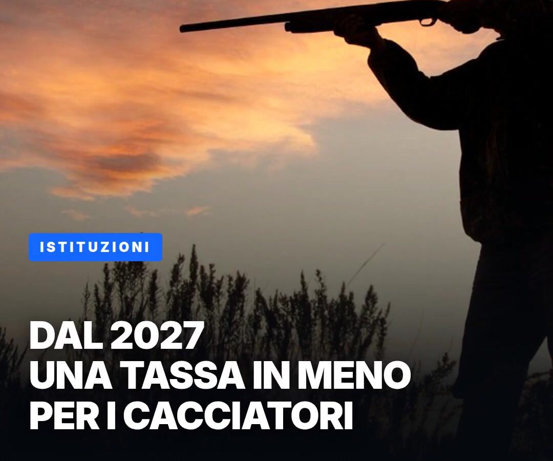 copertina-26