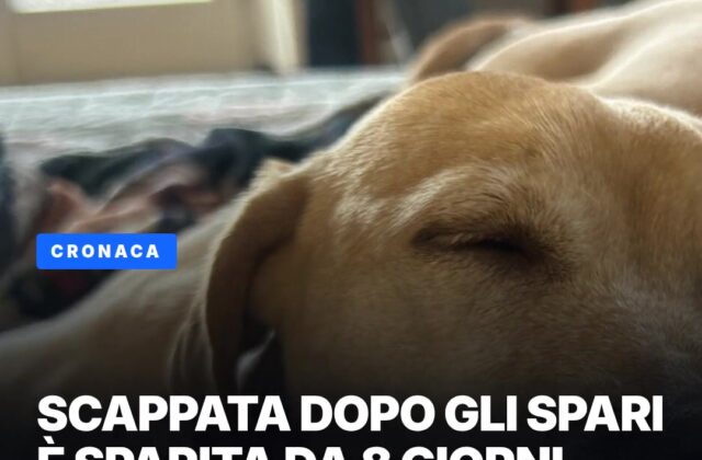 Akida è sparita dopo gli spari della cerimonia dei Reggenti