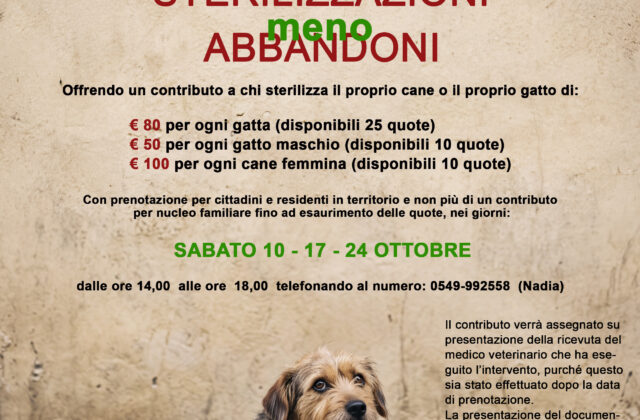 San Marino, contributi per sterilizzare cani e gatti: parte la campagna contro il randagismo