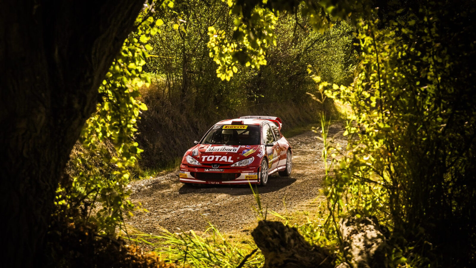 Rallylegend, spettacolo e folla per la prima notte: Pedersoli vince la Sprint Race, podio anche per due sammarinesi