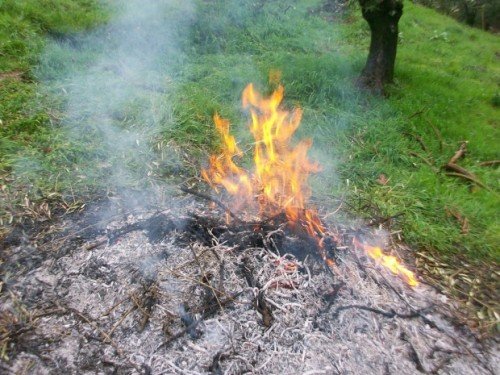 San Marino, siccità e rischio incendi: vietato bruciare sterpaglie fino al 15 novembre